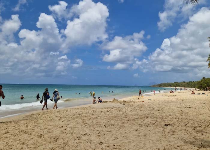 plages-des-salines-martinique