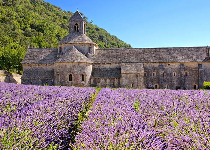 lavande-abbaye-notre-dame-senanque