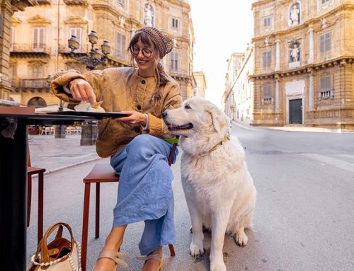 Où partir en vacances avec son chien en France ?