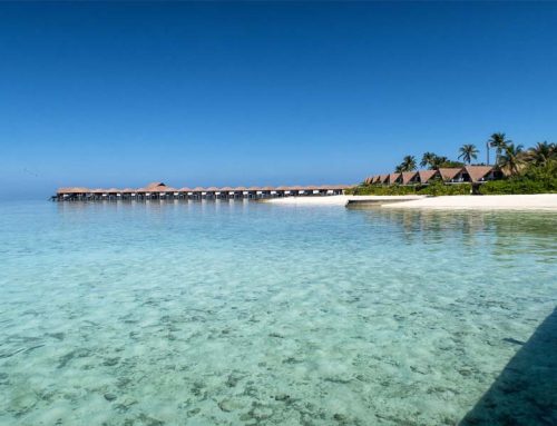 5 bonnes raisons de voyager aux Maldives